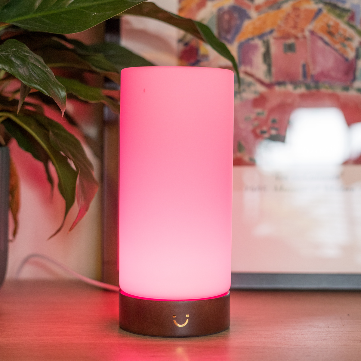 Pink glowing cylinder lamp with wooden base sits on desk beside green plant and artwork.